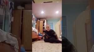 мини пиг и пранки над брателой