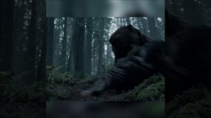 Нападение медведя