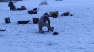 поимка форели на ратлин