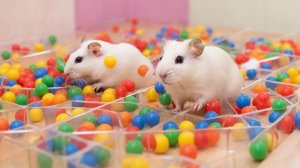 ИИ АНИМАЦИЯ | ЗАЛИПАЛКИ