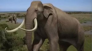 Почему Азовское море самое опасное в мире