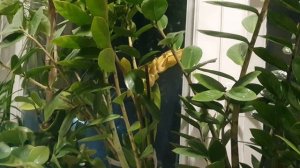 Осень в душе