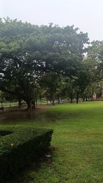 Самая мистическая находка Таиланда смотреть онлайн