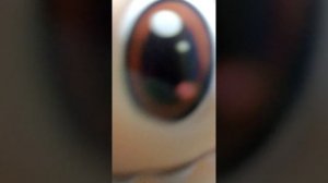 VID_20251229_114730.mp4