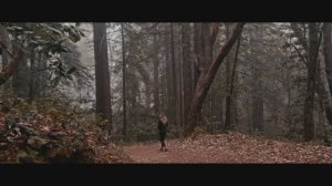 iPhone 16 Pro Max   Cinematic   4K   Apple Log   ProRes LT