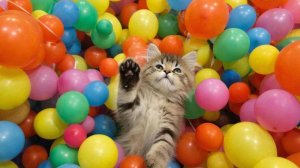 ИИ АНИМАЦИЯ| ЗАЛИПАЛКА | АСМР