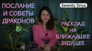 Таро расклад на будущее⚡Важно знать сейчас⚡ послание и советы Драконов🐉