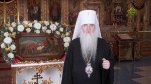 Рождественское поздравление митрополита Симбирского и Новоспасского Лонгина