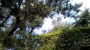 Святогорск 2015