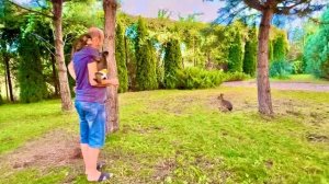 Финик с Анфисой на полянке познакомились с марой и кроликом)))