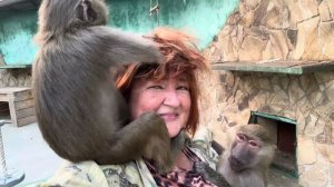 Степа, Маня и Тося встретили нас ОЧЕНЬ БУРНО! Вдвоем уже заходить к ним тяжело, ждем Дениса с Алиной