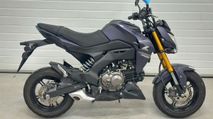 Kawasaki Z125 - BR125H-A17106