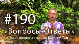 28.12.2025 "Вопросы-Ответы" Выпуск #190 Е.М. Враджендра Кумар прабху отвечает на ваши вопросы