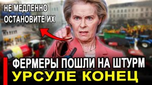 Это произошло..Такого ужаса ЕС не видел: фермеры вышли против Еврокомиссии.