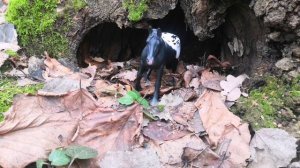 заставка к моим любым видео которые не относятся к сериалам или фильмам 🥰