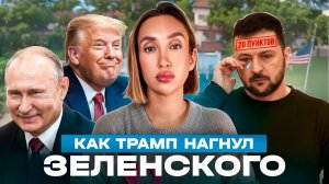 Страх и безнадега Зеленского на встрече у Трампа
