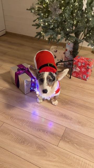 Где мои подарки смотреть онлайн