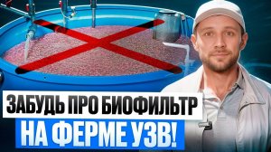 Это Устройство ЗАМЕНЯЕТ Очистку на Ферме! Биофильтр Больше НЕ НУЖЕН?