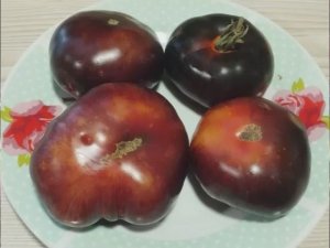 Каталог томатов на 2026 год. Новинки 2025 года. Часть 8. г. Киров. т. 89229284031