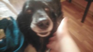 VID_20251229_102455.mp4