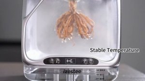 Китайцы выпустили прозрачный «горшок будущего» — растение внутри него висит в воздухе