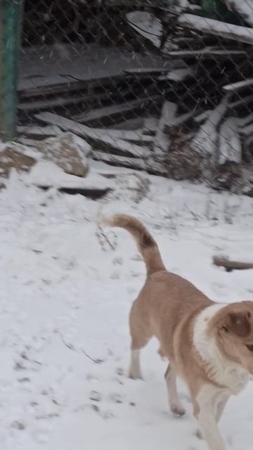 Наша погода 26 декабря 2025 г.