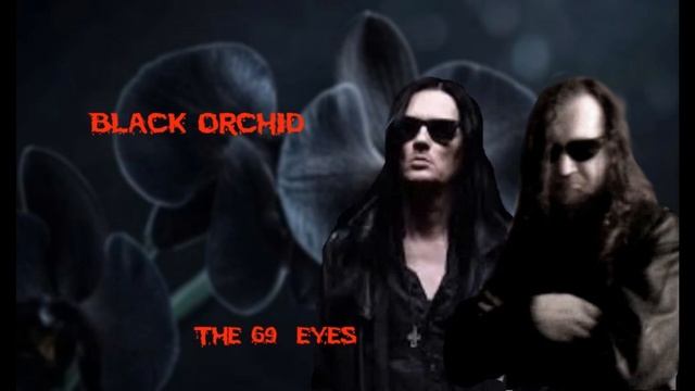Black Orchid смотреть онлайн