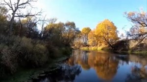 А помнишь летний вечер, обвивал он нас за печи...