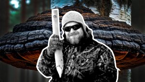 ЧАГА И ОСИНОВЫЙ КОЛ - СРЕДСТВА ПРОТИВ ЗОМБИ