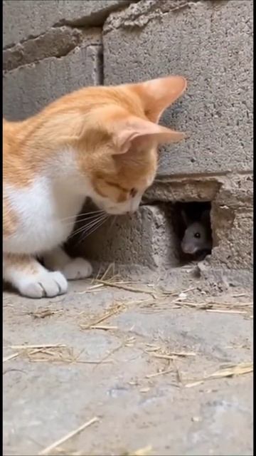 Цель достигнута смотреть онлайн