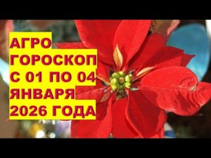 Первые дни января 2026 - когда быть осторожнее?