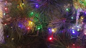 нарядили елку.