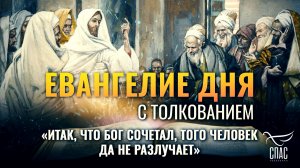 «Итак, что Бог сочетал, того человек да не разлучает» / Евангелие дня