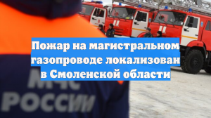 В Смоленской области локализовали пожар на магистральном газопроводе