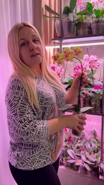 Я орхоманка, а ты? смотреть онлайн