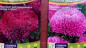Обзор СЕМЯН ЦВЕТОВ от Семян Алтая.