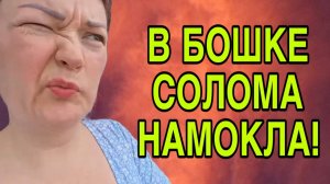 В БОШКЕ СОЛОМА НАМОКЛА! ПИРАТСКАЯ ЖИЗНЬ. ОБЗОР.
