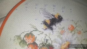 🎥12.Видео 2023✨Вышивальный влог с 20-27.02.2023✨