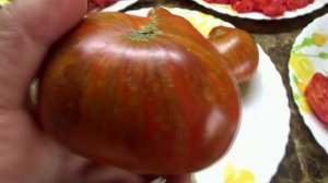 В прошлом году этот томат очень удивил меня! Томатный Гном Черный Волшебник №900-24. Полюбуйтесь!