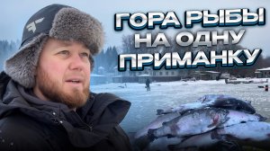 #38 ВСЯ ФОРЕЛЬ НА ОДНУ ПРИМАНКУ. ЛОВЛЮ ФОРЕЛЬ С ЭХОЛОТОМ ВПЕРВЫЕ! РЫБАЛКА РК НАЛИМ