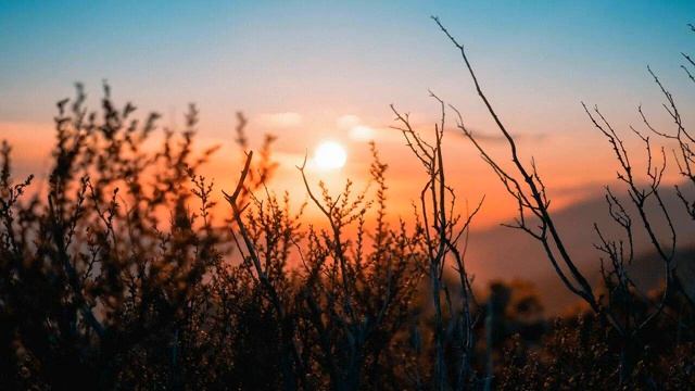 Сура 29 "Аль-Анкабут" красивое чтение Корана | Чтец: Мухаммад Люхайдан смотреть онлайн