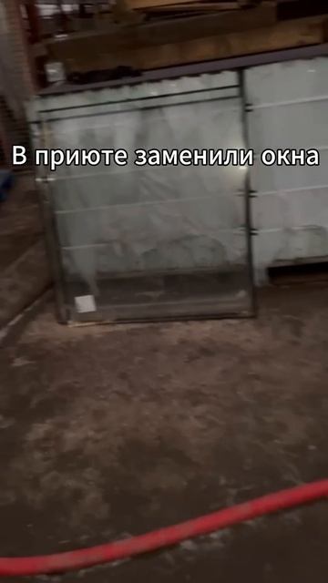 rutube.ru
