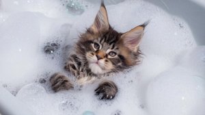 ИИ АНИМАЦИЯ| залипалки