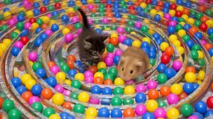 ИИ АНИМАЦИЯ| ЗАЛИПАЛКА | АСМР