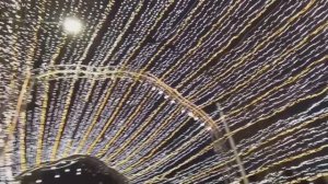 Красиво в городском парке. Южно-Сахалинск.mp4