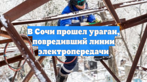 В Сочи прошел ураган, повредивший линии электропередачи