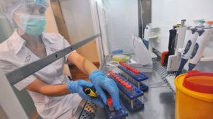 В РФ упростили доступ к клиническим исследованиям лекарств