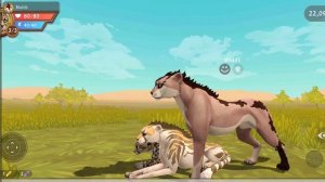 Мини фильм "Гепард"