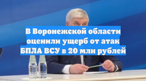 В Воронежской области оценили ущерб от атак БПЛА ВСУ в 20 млн рублей