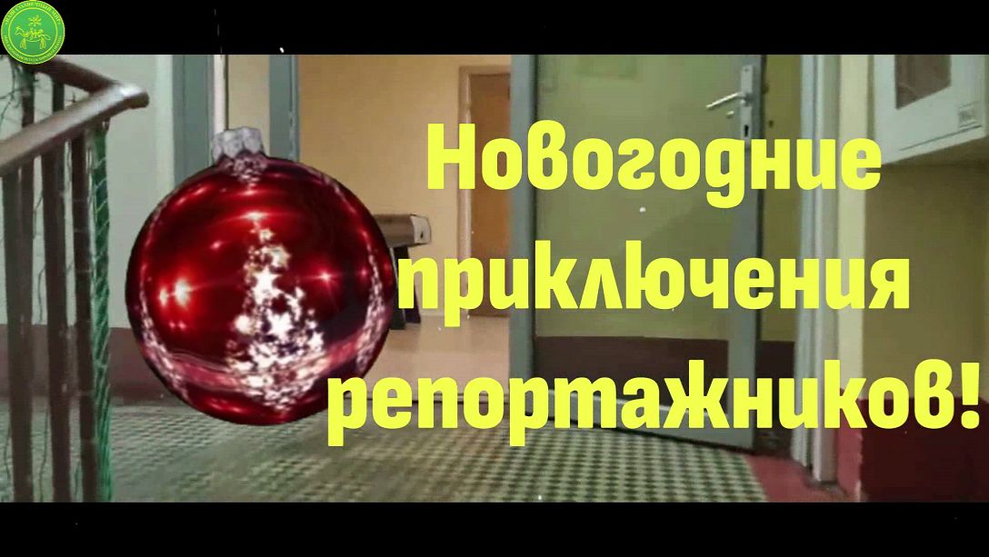 Репортаж Город 2025, Новый Год 2026